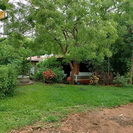 Inn Pondiville Forest Retreat بونديتْشيري المظهر الخارجي الصورة