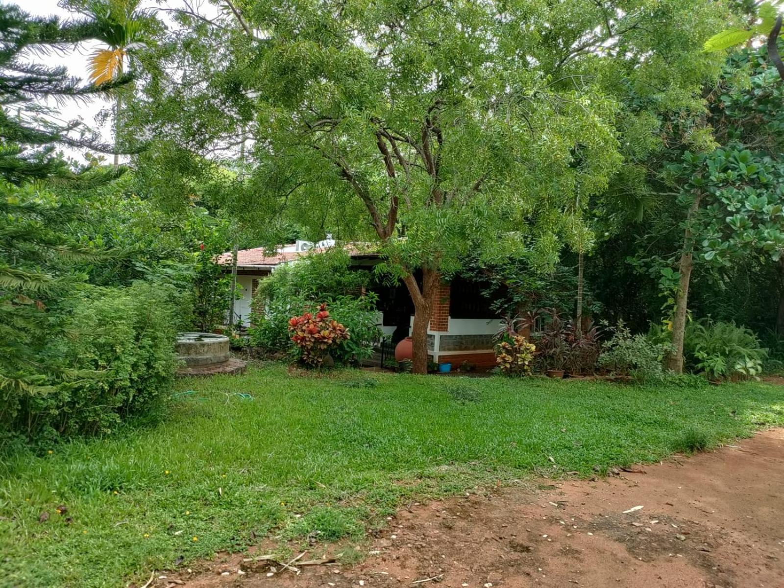Inn Pondiville Forest Retreat بونديتْشيري المظهر الخارجي الصورة