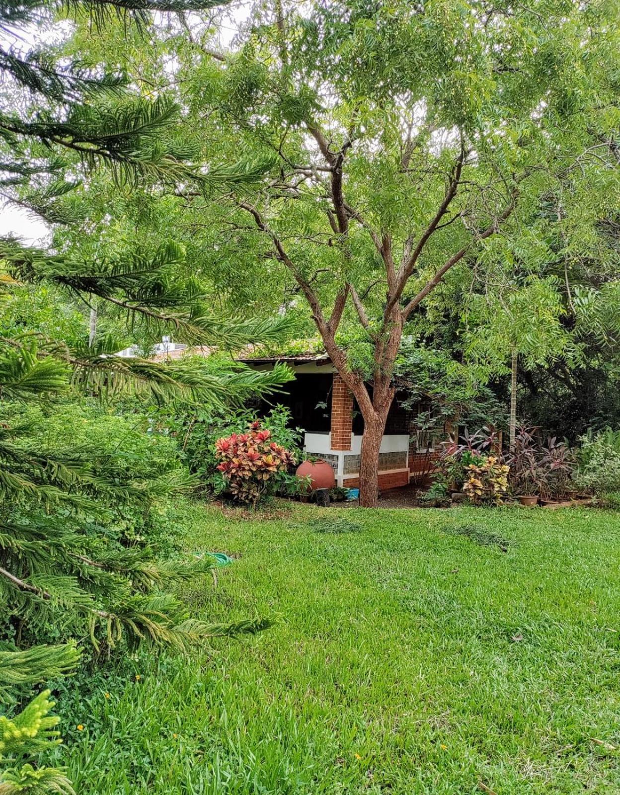 Inn Pondiville Forest Retreat بونديتْشيري المظهر الخارجي الصورة