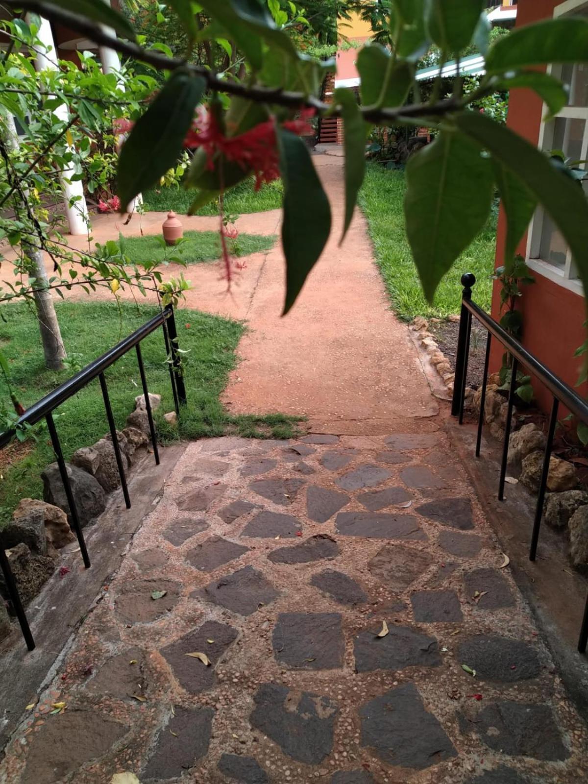 Inn Pondiville Forest Retreat بونديتْشيري المظهر الخارجي الصورة